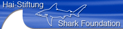 hai.ch - banner